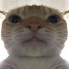 IIU8KA_6AHA