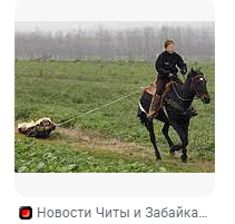 Бе11111зымянный.png