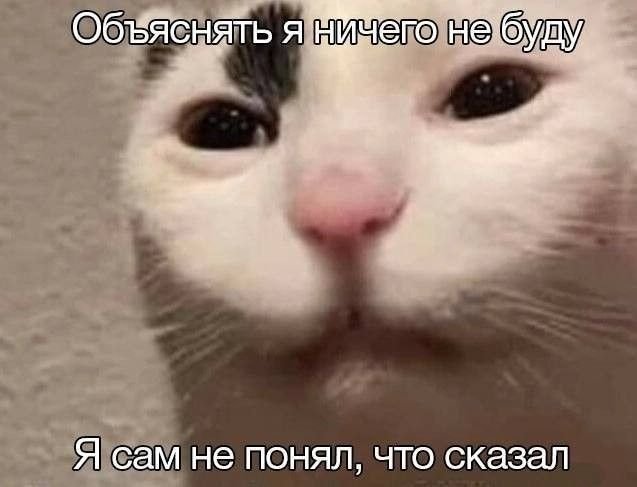 5bdfb2ec87b6dc26db3f384a7ebe18d9.jpg