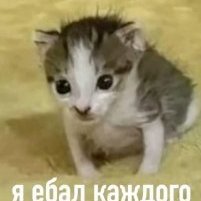 Alden