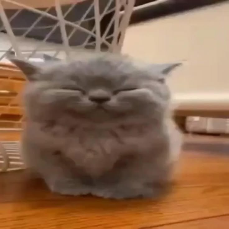 Без названия (4).jpg