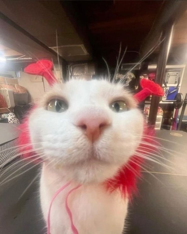 Без названия (6).jpg