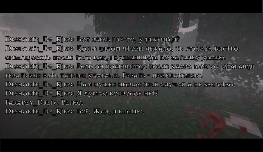 ss14.png