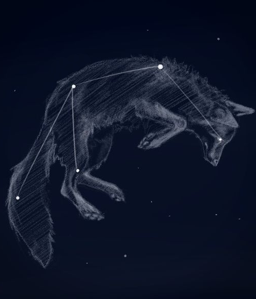image (60).png