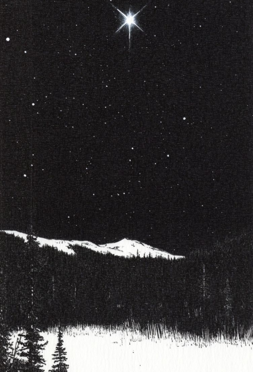 image (61).png