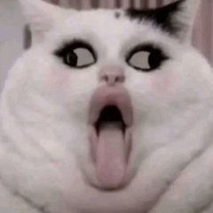 большеротый билли бас 67