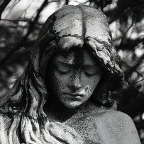 salvatore