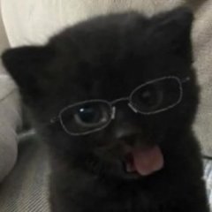 молодой кудесник