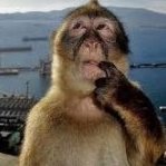 застройщик авиасейлс