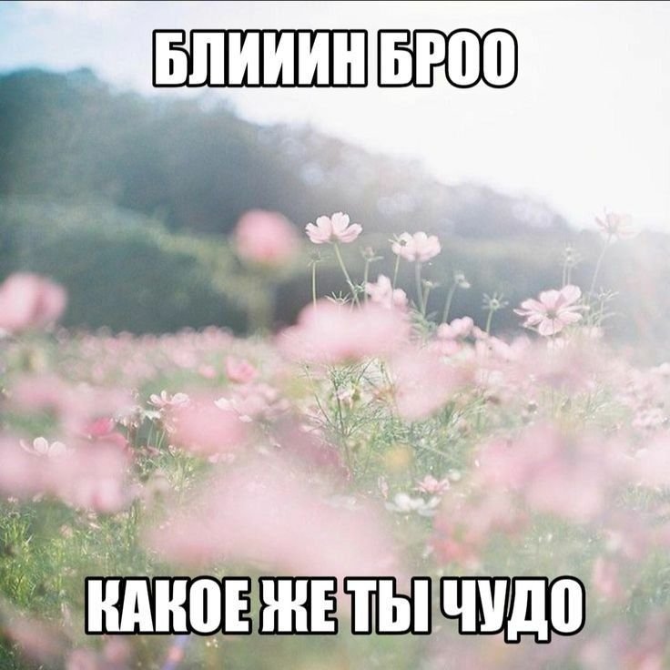 42aa81511d3e59e8bb52ad5f3d579912.jpg