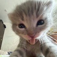 serafimchikk